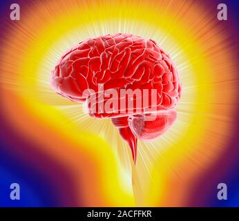Creativity, conceptual computer artwork. Profile of a human brain emitting rays of light, representing thinking and creativity. Stock Photo
