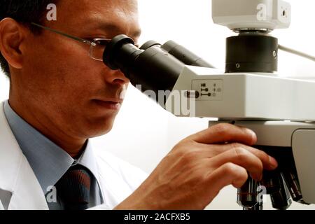 Examining tissue samples. Pathologist examining tissue samples under a microscope. Stock Photo