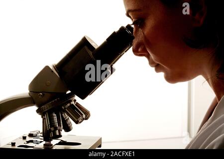 Examining tissue samples. Pathologist examining tissue samples under a microscope. Stock Photo