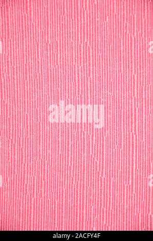 Abstract pattern in pink color. Textile texture in red and white. Stock Photo