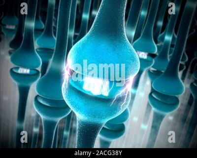 Synapses, conceptual computer artwork. Synapses are the junctions between the ends of two nerve cells (neurons). Signals are passed along the nerve ce Stock Photo