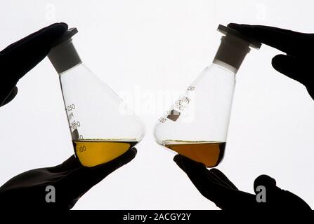 Coffee research. Researchers holding samples of chemicals extracted from roasted coffee beans. These samples will be analysed to identify and quantify Stock Photo