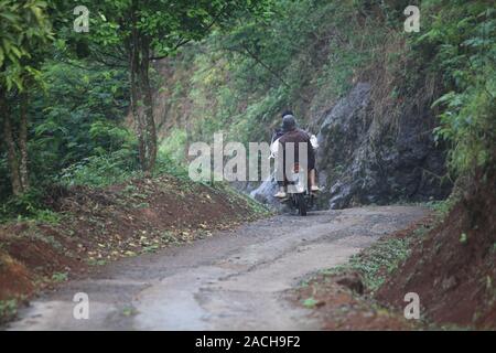 The mountains in Answering precisely in West Bandung Regency, offer natural coolness, lots of pine trees that make the atmosphere become relax. Enjoy Stock Photo