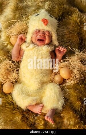 newborn baby crying in chicken costume on a fur bed Stock Photo