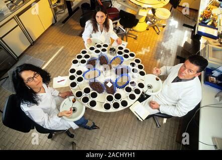 Coffee research. Researchers tasting different varieties of coffee in a special room to allow them to evaluate the aroma and feel. Photographed at the Stock Photo