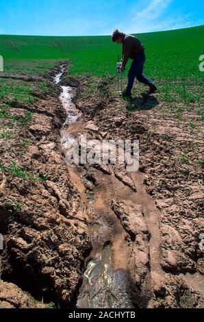 Soil erosion. Soil scientist taking readings from an area of a wheat field that has suffered severe soil erosion. Photographed in Washington State, US Stock Photo