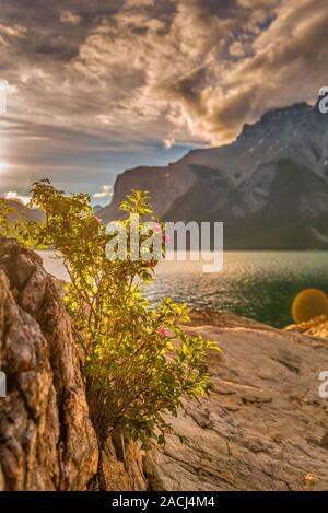 Lake Minnewanka-Banff National Park, Alberta, Canada Stock Photo