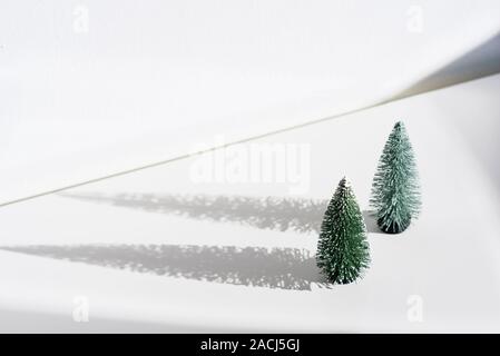 Two small green christmas trees with long shadows on white background. Stock Photo