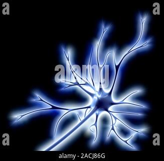Nerve cell. Conceptual computer artwork of a nerve cell, also called a neuron emitting electrical sparks. Neurons are responsible for passing informat Stock Photo