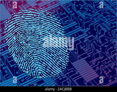 Biometric security. Computer artwork showing a human fingerprint with an image of a printed circuit board (PCB). Fingerprints contain unique patterns Stock Photo