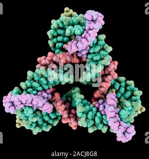 Self-assembled 3D DNA crystal. Computer model showing the molecular structure of an artificially assembled three-dimensional DNA (deoxyribonucleic aci Stock Photo