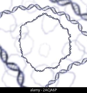 Bacterial DNA. Computer artwork of rings of double-stranded DNA (deoxyribonucleic acid). Bacterial DNA is typically found in rings like this, which ar Stock Photo