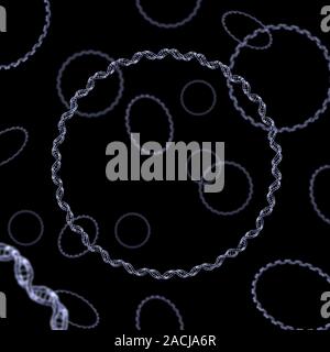 Bacterial DNA. Computer artwork of rings of double-stranded DNA (deoxyribonucleic acid). Bacterial DNA is typically found in rings like this, which ar Stock Photo
