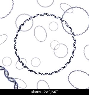 Bacterial DNA. Computer artwork of rings of double-stranded DNA (deoxyribonucleic acid). Bacterial DNA is typically found in rings like this, which ar Stock Photo