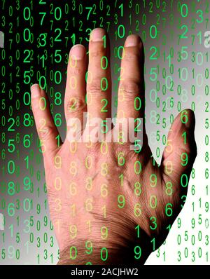 Digital knowledge, conceptual image. Human hand reaching into a stream of numbers, representing a search for knowledge in the digital information age. Stock Photo