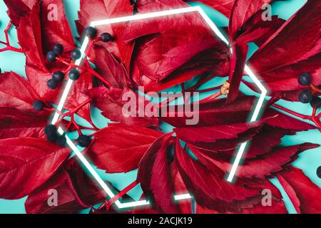 Autumn background. Purple leaves and blue berries of wild grapes. Stylish Hexagon Frame. Stock Photo