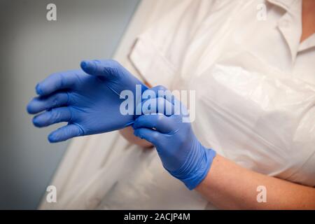 Infection control nursing. Hands of a nurse who is putting on latex gloves as part of infection control measures known as source isolation. This is do Stock Photo