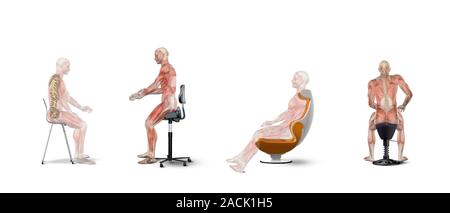 Chair ergonomics. Series of artworks showing the correct posture for a human when sitting on different types of chair. In all four, seen from differen Stock Photo