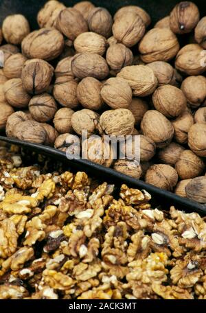 Walnut harvest. Freshly harvested whole (top) and shelled (bottom) walnuts. Photographed in Vinay, France. Stock Photo