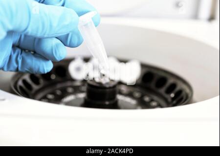Botanical laboratory. Scientist loading samples into a centrifuge in a plant lab. Stock Photo