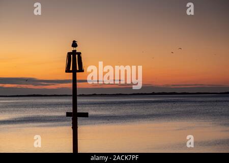 Seagull on a post at dusk at Caernarfon, North Wales coast Stock Photo