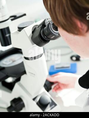 Scientist using a microscope in a science laboratory. Stock Photo