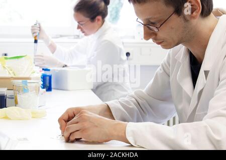 Male and female scientists wearing white coats conduct research in a laboratory. Stock Photo