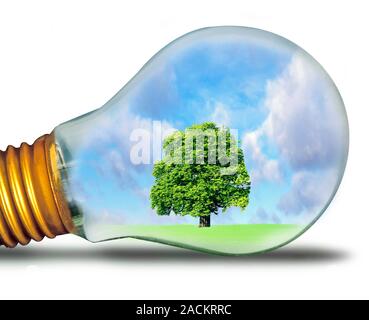 Sustainable energy. Conceptual image of a tree in a light bulb, representing the sustainable generation of power. This is the use of methods to genera Stock Photo