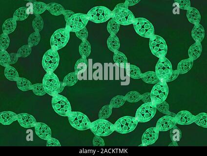 Bacterial DNA. Computer artwork of rings of double-stranded DNA (deoxyribonucleic acid). Bacterial DNA is typically found in rings like this, which ar Stock Photo