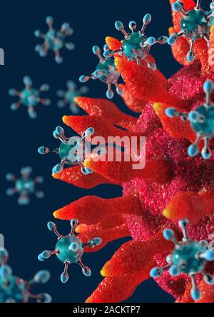 Medical nanorobots, conceptual image. Computer artwork of nanorobots (small, spiky) attacking a virus (red). Stock Photo