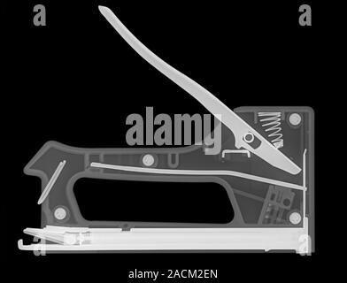 Wall stapler, X-ray. Stock Photo