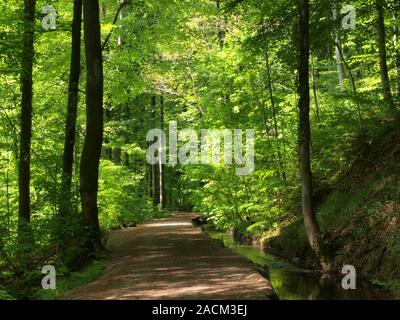 Silent creek near Weingarten in Upper Swabia Stock Photo