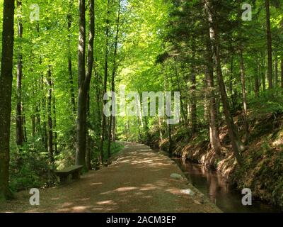 Silent creek near Weingarten in Upper Swabia Stock Photo