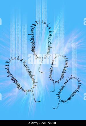 Bacterial computing, conceptual artwork. Escherichia coli bacteria (four shown) with data streams of numbers. This image represents the use of bacteri Stock Photo