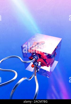 Bacterial computing, conceptual artwork. Escherichia coli bacteria (red) in a box that represents a computer data storage device. This image represent Stock Photo