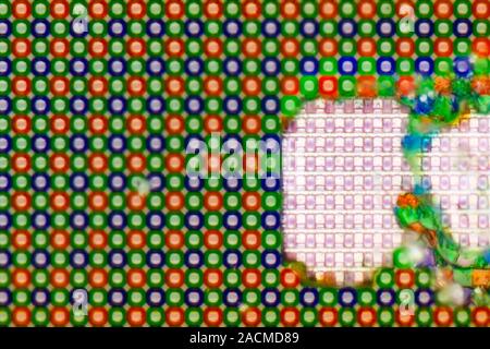 CCD camera sensor. Light micrograph showing the pixels on the surface of a damaged CCD sensor from a digital camera. Magnification: x900 when printed Stock Photo