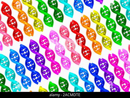 DNA molecules. Computer artwork showing rows of multi-coloured double stranded DNA (deoxyribonucleic acid) molecules. DNA is composed of two strands t Stock Photo