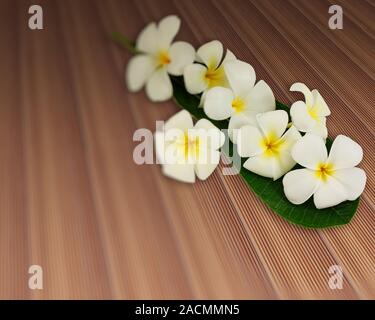 Bouquet of plumeria flowers with leaf on plank teak strip texture wood floor Stock Photo