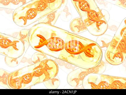 Gene therapy, conceptual image. Computer artwork of DNA (deoxyribonucleic acid) molecules inside pill capsules, representing treatments to repair abno Stock Photo