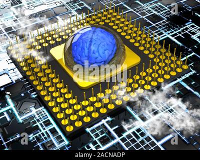 Artificial intelligence and cybernetics, conceptual image. Computer artwork of a brain as the central component of a computer's central processing uni Stock Photo