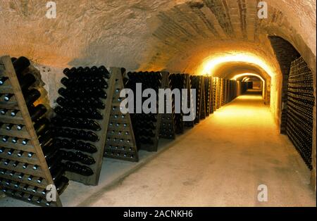 Moet & Chandon champagne cellar. Racks of champagne bottles in the cellars of the Moet & Chandon champagne company. Photographed in Epernay, France. Stock Photo