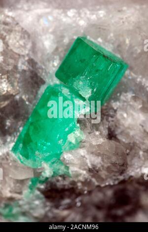 Emerald in quartz. Close-up of an emerald (green) amongst quartz crystals (white). Emerald is a variety of beryl, a beryllium aluminium cyclosilicate. Stock Photo