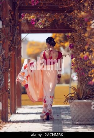 An Indian Women Wearing traditional silk saree dress back view Stock Photo
