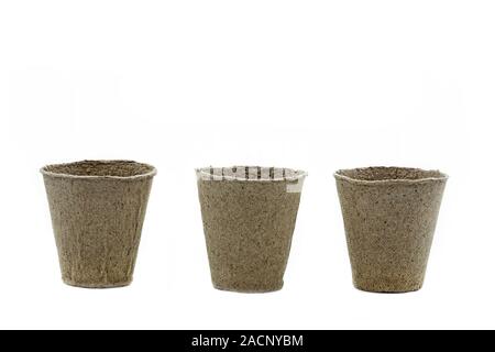Three small peat pots on white background Stock Photo