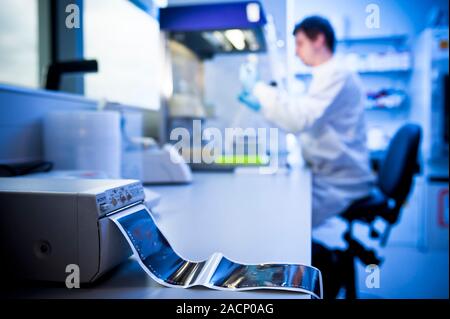 Scientist working in a fume cupboard. Scientist pipetting liquid into an Eppendorf tube in a fume cupboard. Stock Photo
