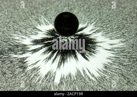 Magnet and magnetic field pattern. Clumping of iron filings in the presence of a ball magnet and its magnetic field. The magnetised iron filings align Stock Photo