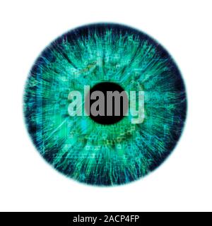 Artificial intelligence, conceptual image. Composite image of a human eye and a circuit board. Stock Photo