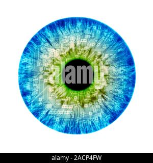 Artificial intelligence, conceptual image. Composite image of a human eye and a circuit board. Stock Photo