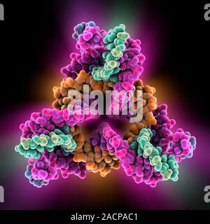 Self-assembled DNA triangle. Molecular model of DNA (deoxyribonucleic acid) strands forming what is called a tensegrity triangle. These triangular sub Stock Photo