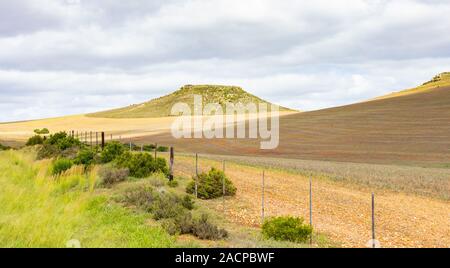 Rural Grassland Farming Area of the Karoo Semi-desert in South Africa Stock Photo